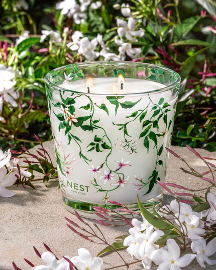 Nest 3-wick Candle 21.2oz  Indian Jasmine Candles in  at Wrapsody