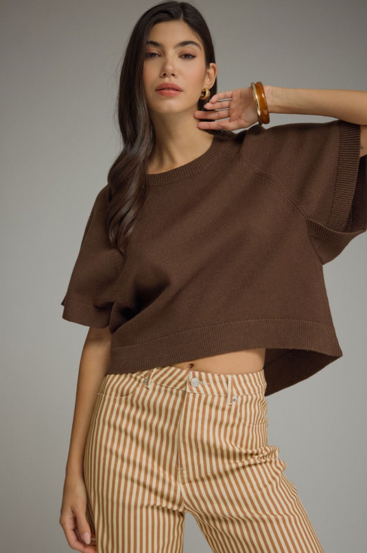 Ribbed Wide Sleeve Brown Sweater