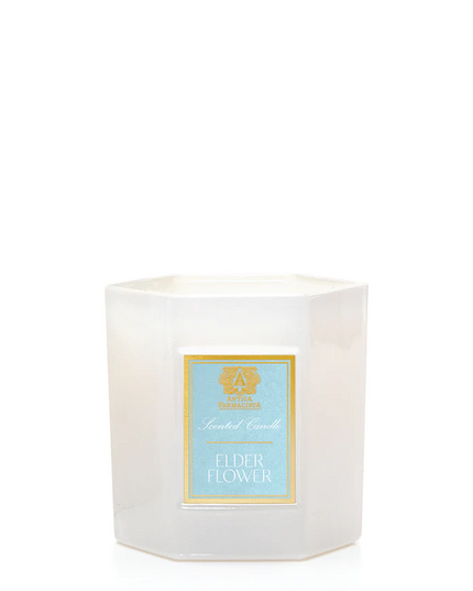 Antica Hexa Candle 9oz  Elderflower Candles in  at Wrapsody