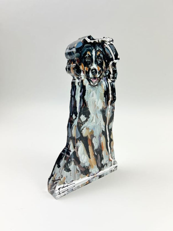 Tri-Colored Australian Shepherd Acrylic Block Home Decor in at Wrapsody