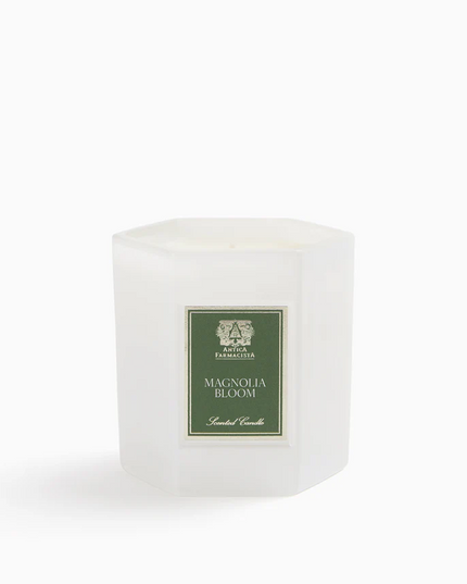 Antica Candle 9oz Magnolia Bloom Candles in at Wrapsody