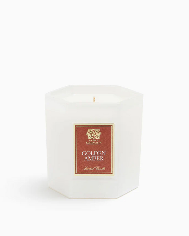 Antica Candle 9oz Golden Amber