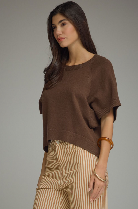Ribbed Wide Sleeve Brown Sweater