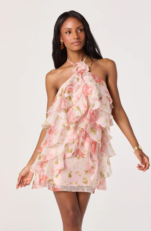 Ofra Floral Blush Mini Dress Dresses in XS at Wrapsody