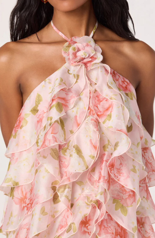 Ofra Floral Blush Mini Dress Dresses in at Wrapsody