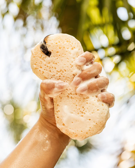 Sweet Grace Body Wash Sponge Bath & Body in at Wrapsody