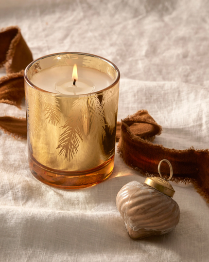 Frasier Fir 6.5oz Gold Gilded Candle Candles in  at Wrapsody