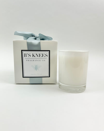 B's Knees 1-Wick Candle in Santa Elena Candles in at Wrapsody