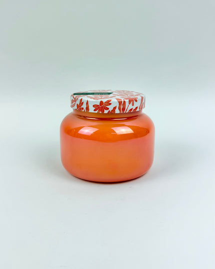 Capri Blue Riviera 19oz Candle - Isla Bloom Candles in at Wrapsody