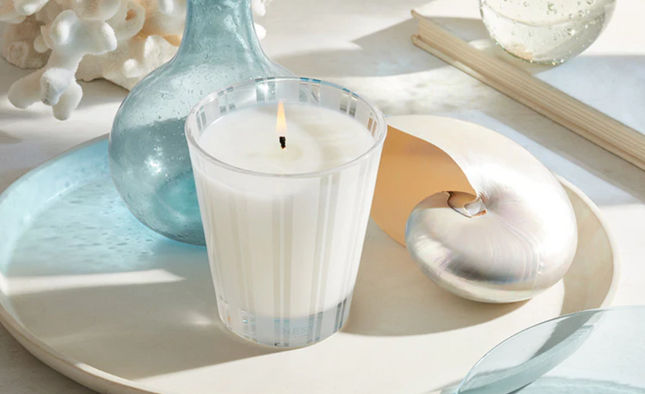 Nest Classic Candle 8.1oz Candles in  at Wrapsody