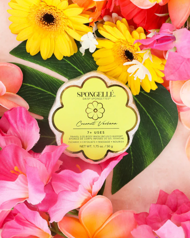 Spongelle Daisy Spongette Bath & Body in Coconut Verbena at Wrapsody