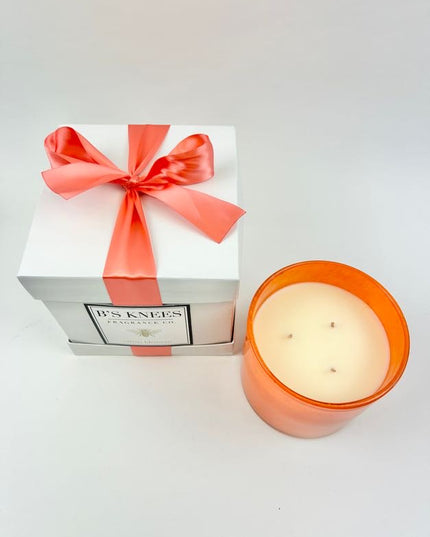 B's Knees 3-Wick Candle in Citrus Blossom Candles in  at Wrapsody