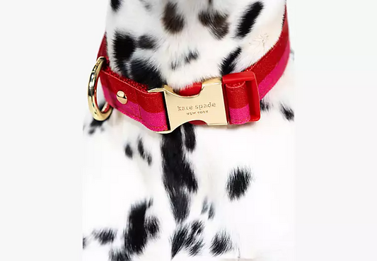 Dog Collar Large in Red/Pink Pet in  at Wrapsody