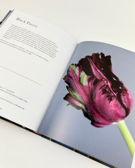 Book of Tulips Books in  at Wrapsody