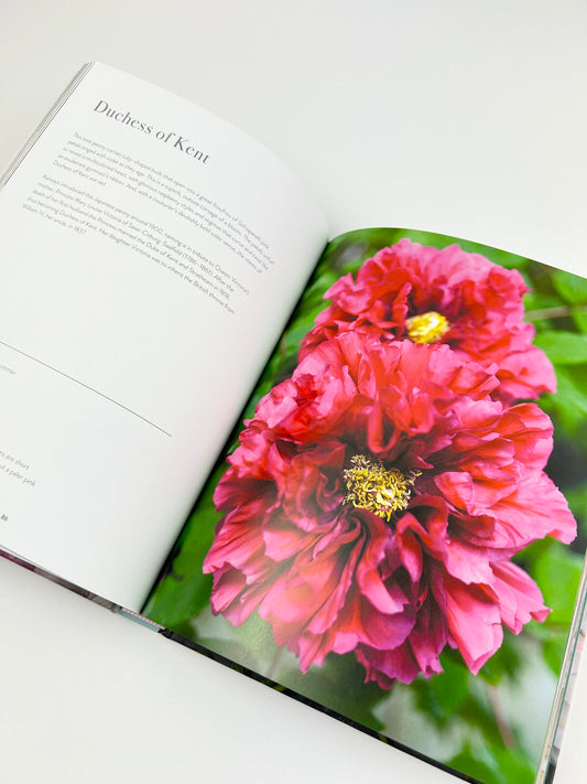 Book of Peonies Books in  at Wrapsody