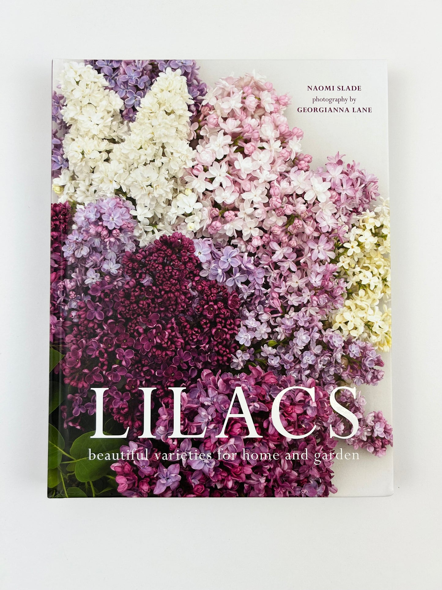 Book of Lilacs Books in  at Wrapsody